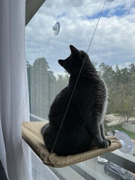 Лежанка для кота на окно подвесная гамак для кошки на присосках (ОL-152925)