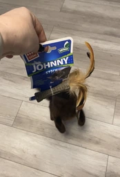Іграшка для котів Спресована котяча м'ята з пером GiGwi Johnny stick перо котяча м'ята 8 см фото от покупателей 4