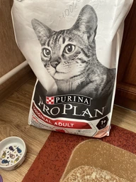 Сухий корм для дорослих котів Purina Pro Plan Original Adult з лососем 10кг (12539025)