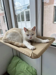 Лежанка для кота на окно подвесная гамак для кошки на присосках (ОL-152925)