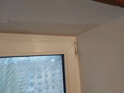 Засіб для видалення цвілі Astonish Mould&Mildew Stain Blaster 750 мл фото від покупців 19
