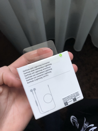 Навушники Apple iPhone EarPods with Mic Lightning (MMTN2ZM/A) фото від покупців 3