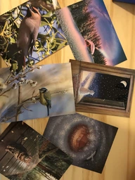 Почтовая открытка Cardsforsoul Кошка в осеннем лесу 10,5 Х 14,8 см
