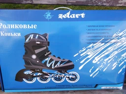 Ролевые коньки Zelart METROPOLIS Z-905B размер 43, 27.5 см, черный-синий цвет (Z-90556B)