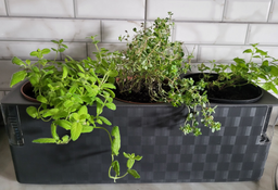 Кашпо с системой автополива Plastkon Cobble Trio 40x14x14 см Белый (ПФ-37162) фото від покупців 2