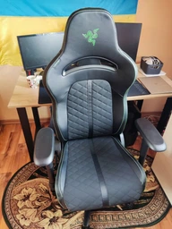 Крісло для геймерів Razer Enki Green (RZ38-03720100-R3G1) фото від покупців 18