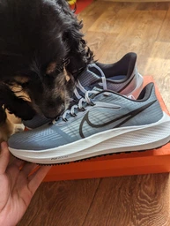 Кросівки для бігу чоловічі Nike Pegasus 39 45 Білий DH4071-100 фото від покупців 2