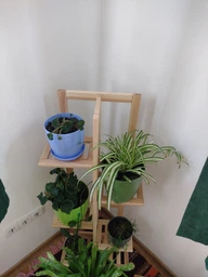 Подставка для цветов и вазонов ясень 103*40*20 cм Натуральный (П4001030200)