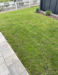 Газонна трава DSV Euro Grass Road & Landscaping Ландшафтний 10 кг фото від покупців 1