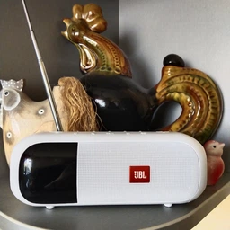 Портативна акустика JBL TUNER 2 BLK фото від покупців 1