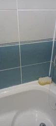 Засіб для видалення цвілі Astonish Mould&Mildew Stain Blaster 750 мл фото від покупців 14