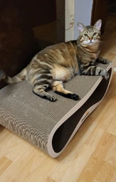 Кігтеточка-лежанка Say Meow Grace Max 67х27х35 см - бежевий фото від покупців 13