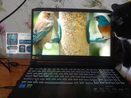 Ноутбук Acer Nitro 5 AN515-57-57E4 (NH.QEWEU.007) Shale Black фото от покупателей 5