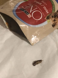 Корм консервований Purina One Mini/Small Adult для собак до 10кг з куркою морквою зеленою квасолею в підливі 85 г (8445290298263) фото від покупців 1