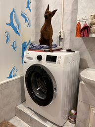 Пральна машина вузька SAMSUNG WW62J32G0PW/UA фото від покупців 5