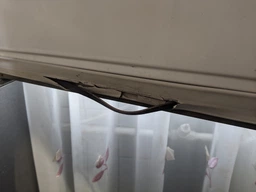 Холодильник Beko RCNA 406I 35XB фото від покупців 16