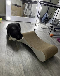 Кігтеточка дряпка з гофрокартону лежанка для котів з картонним фасадом Cat Joy Modern Whitish 54x13x25 см фото від покупців 1
