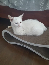 Когтеточка для кошек из картона с деревянным фасадом Cat Joy Avangard Beige Wood 59х18х25 см