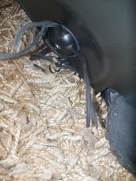 Робот-пылесос RoboRock S6 MaxV Vacuum Cleaner Black фото від покупців 1