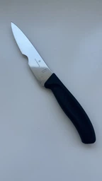 Кухонний ніж Victorinox SwissClassic Carving 6.8003.19B 19 см Black (Vx68003.19B)