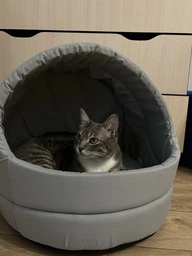 Дом-лежак для собак и кошек Природа "COMFORT" 4 44х43х40 см (4823082418893) фото от покупателей 10