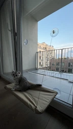 Спальное место для кошки кровать лежанка оконная гамак Sunny Seat Window