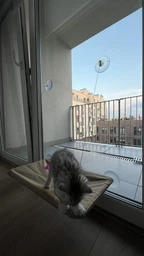 Спальное место для кошки кровать лежанка оконная гамак Sunny Seat Window фото от покупателей 1