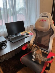 Крісло ігрове DXRacer A Series Black (OA-CH001-N-2-NVF) фото від покупців 3