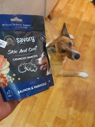 Хрустящие лакомства Savory для здоровья кожи и шерсти собак, лосось с бархатцами, 200 г (4820232631355) фото от покупателей 6