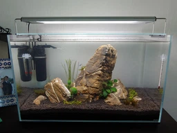 Акваріум aGLASS Classic 66л (60*31*36) фото від покупців 3