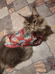 Гавайська сорочка для собак Pet Style Червона S