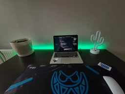 Светодиодная лента LED Strip Light SMD 5050 RGB (30 LED/m) 5 м для подсветки телевизора и интерьера от USB на силиконе с пультом управления фото от покупателей 9