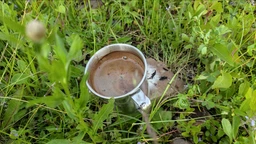 Кружка Skif Outdoor Loner Cup 350 ml (1013-389.02.85) фото від покупців 5