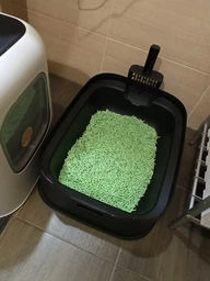 Наповнювач соєвий для котячого туалету AnimAll Tofu 10 л - зелений чай фото от покупателей 2
