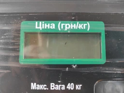 Ваги торгові 40кг Vilgrand VES-6V-40 Plus (37555) фото від покупців 3