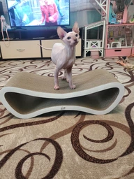 Кігтеточка - лежанка для котів "Leo Pets" M (66х18х25cм) фото від покупців 2
