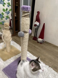 Дряпка для кота Мур-Мяу Стовпчик-2 37х37х72 см для кішок у сизалевій мотузці Бузковий