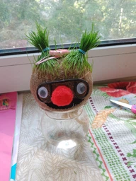 Набор для выращивания Grow Grass man Травянчик экокуб UFT GG01 фото от покупателей 2
