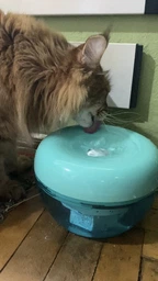Питьевой фонтан для кошек и собак Pawoof X1 1.5L с фильтром (Зеленый) фото от покупателей 18