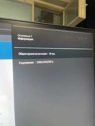 Монитор 31.5" LG 32QN600-B