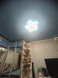 Люстра світлодіодна стельова LUMINARIA ASTRA 120W 5F APP 635/70 WHITE 220V IP20, LED світильник з пультом ДУ фото від покупців 5