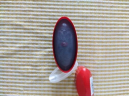 Твердий дезодорант Old Spice Deep Sea 50 мл (8001841283906)