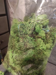 Стабилизированный мох ягель Nordic moss Зеленый травяной светлый 0,5 кг фото от покупателей 2