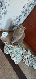 Влажный корм для котят, Optimeal (ОПТИМИЛ), стерилизованные, 340 г (Индюшка, курица) фото от покупателей 2