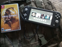 Nintendo Switch Lite Gray + Игра Mortal Kombat 11 (русские субтитры)