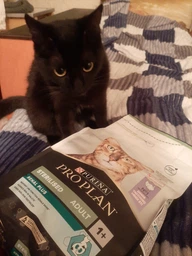 Консервированный корм Purina Pro Plan Veterinary Diets Sterilised Кусочки в паштете с тунцом и лососем для стерилизованных кошек 85 г (8445290173287) фото от покупателей 11