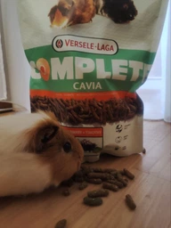 Корм для гризунів, морських свинок КАВИА КОМПЛІТ Complete Cavia 2,5 кг Versele-Laga BGL-VL-17 фото від покупців 8