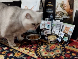 Сухий корм для стерилізованих котів Purina Pro Plan Sterilised Adult 1+ Savoury Duo Пуріна Проплан з качкою та печінкою 1,5 кг (7613036732369) фото от покупателей 9
