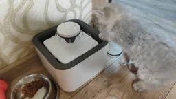 Автопоилка Автоматическая поилка фонтан для собак и кошек Pet Water FOUNTAIN фото от покупателей 7