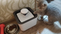 Автопоилка Автоматическая поилка фонтан для собак и кошек Pet Water FOUNTAIN фото от покупателей 6